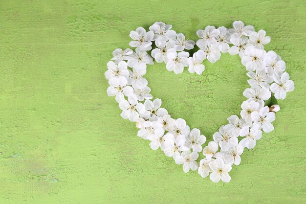 Beautiful cherry blossom on wooden background