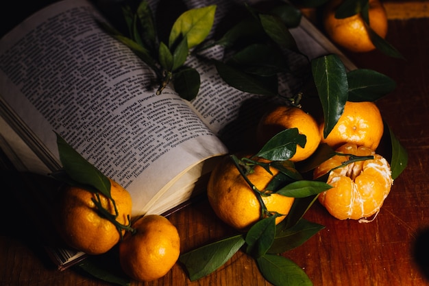 Beautiful Christmas decoration with tangerines and a book