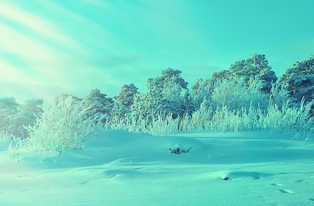 美しいクリスマスの風景