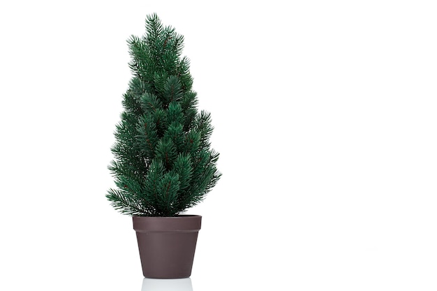 Beautiful Christmas tree in a pot on a white background