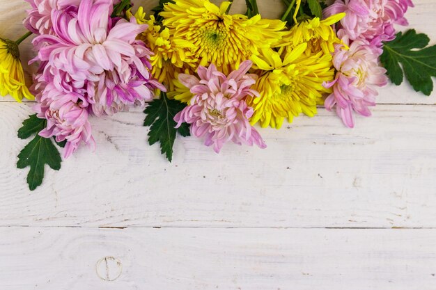 Beautiful chrysanthemums on white wooden background Top view copy space