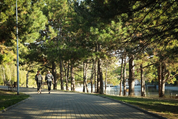 Photo 밝고 화창한 아침에 아름다운 도시 공원