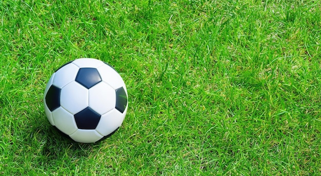 Beautiful classic soccer ball on the grass in high resolution