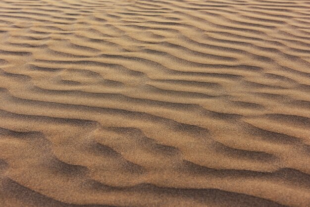 Bella struttura pulita delle dune di sabbia