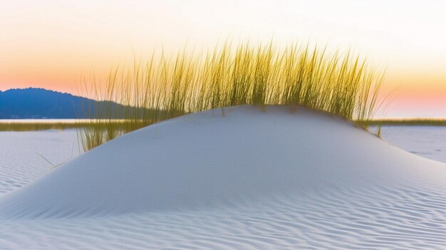 Beautiful clear beach sand