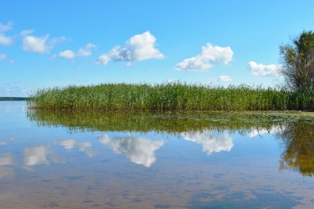 Beautiful clear blue sky with clouds over the lake.