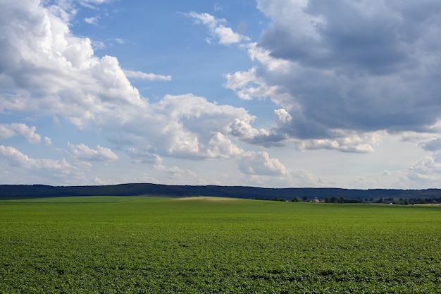 beautiful clouds on agricultural green field