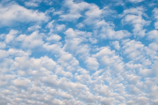 写真 空の美しい雲