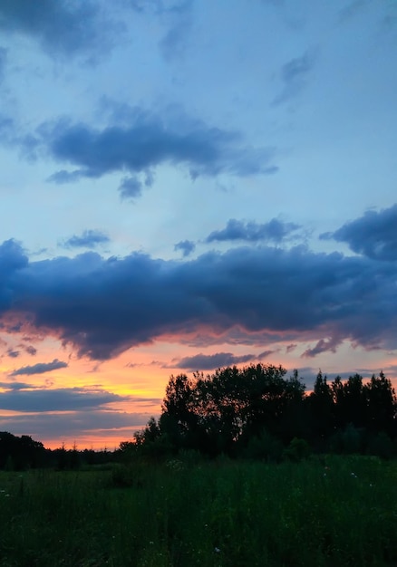 Beautiful cloudscape. Sunset landscape with bright sky and forest.