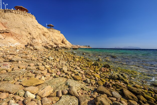 Beautiful coast in the red sea egypt