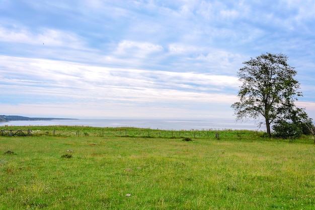 Beautiful coastline landscape green fields on the picturesque sky background