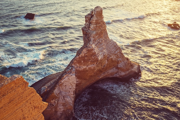 Photo beautiful coastline landscapes in  paracas national reserve, ica region, pacific coast of peru.