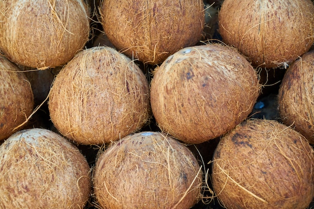 Beautiful coconut fruit