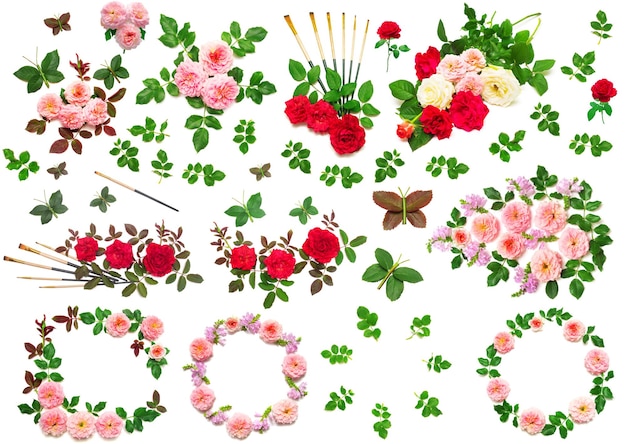 Photo a beautiful collection of flowers roses, butterflies, leaf, brush for drawing and branches isolated on white background. postcard, wreath. wedding. red, green, pink. flat lay, top view