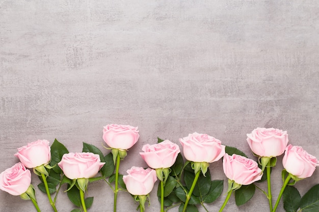 Beautiful colored flowers on a gray background