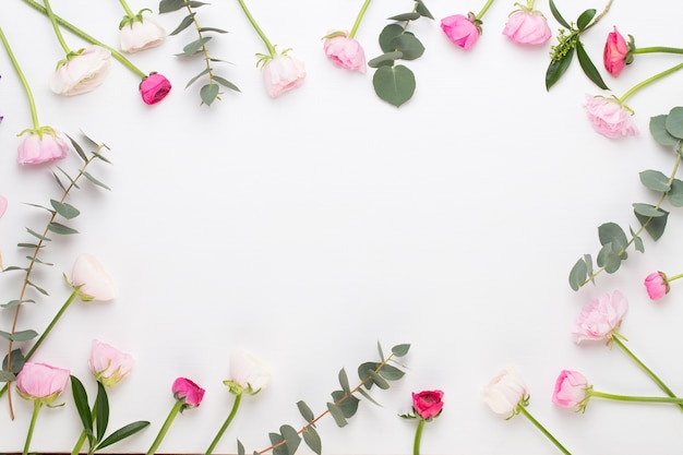 Beautiful colored ranunculus flowers on a white background. Valentines day greeting card.