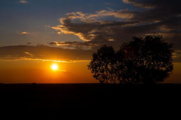 美しい色の空と地平線の夕暮れ時の厚い雲のシルエットの木々