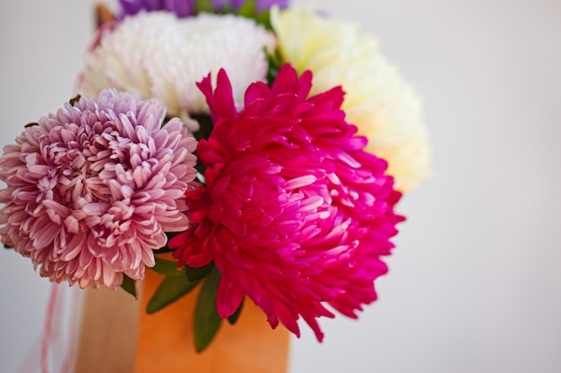 Beautiful colorful aster flower bouquet. Soft focus