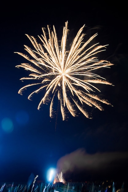 Beautiful colorful fireworks in the sky on a festive night. Vertical photo