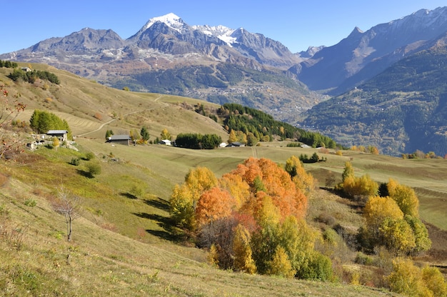 Beautiful and colorful foliage of trees in mountain