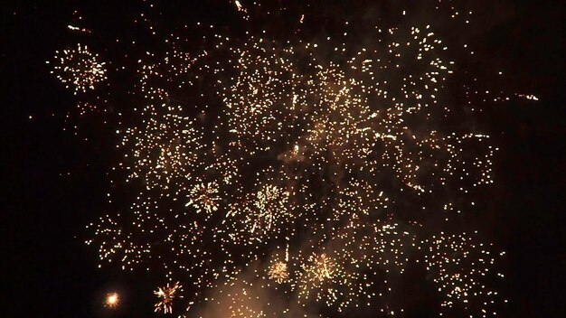 夜空のカラフルな休日の花火 クリップの花火 夜空の休日のコンセプト