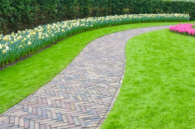 オランダオランダの公園の美しい色とりどりの春の花
