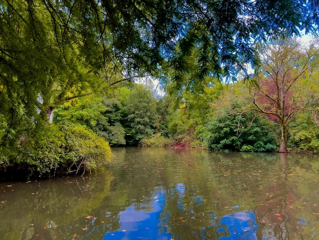 公園内の湖と美しいカラフルな夏春の自然の風景