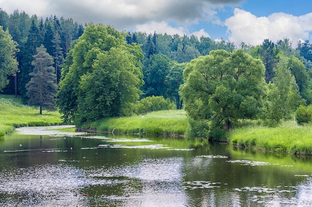 공원의 호수나 강이 있는 아름다운 다채로운 여름 봄 자연 경관은 햇빛에 나무의 녹색 잎과 전경의 길로 둘러싸여 있습니다.