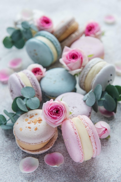 Beautiful colorful tasty macaroons and pink roses on a concrete background