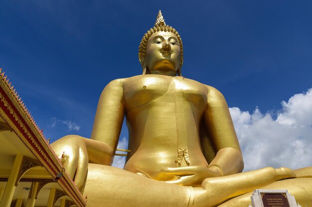 Beautiful and colorful temple in thailand