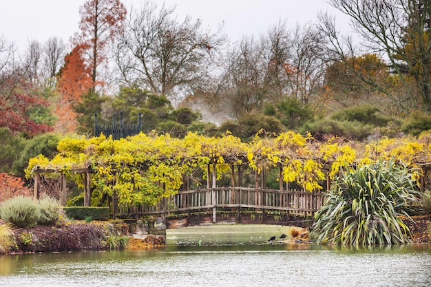 ニュージーランドの秋の公園の美しい色とりどりの木々と池