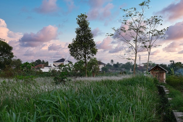 Photo beautiful colors of afternoon sky over tropical countryside of indonesia