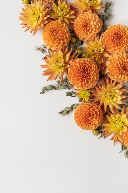 Beautiful composition made of ginger dahlia flower buds on white