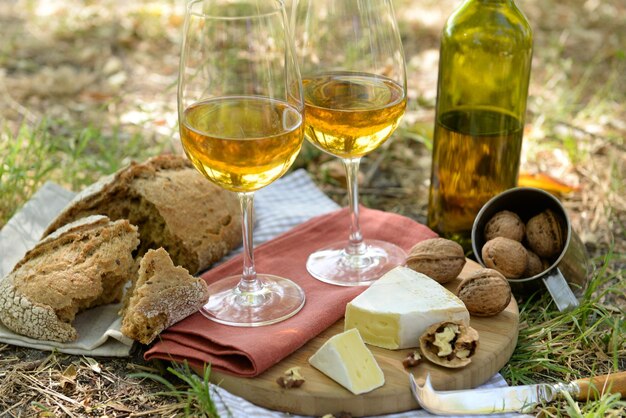 Beautiful composition of white wine cheese nuts and bread on the ground in the park