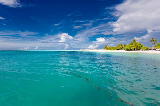 Beautiful contrast of tropical landscape. Coastline with dark water, sea grass and clear turquoise w