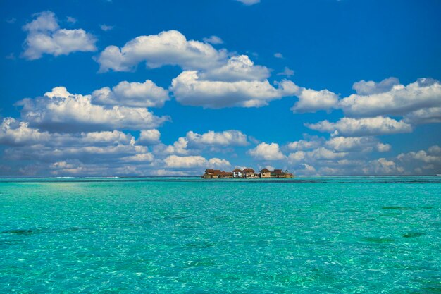 Beautiful coral reef sea of the maldives in the indian ocean