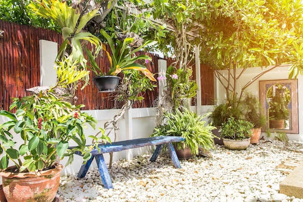 Beautiful corner of the small garden