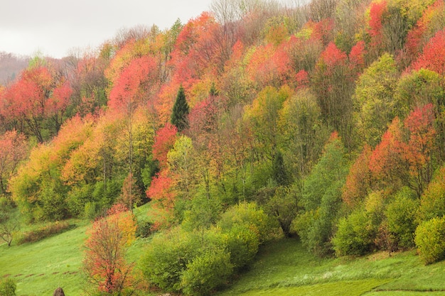 Beautiful country autumnal landscape in the mountains