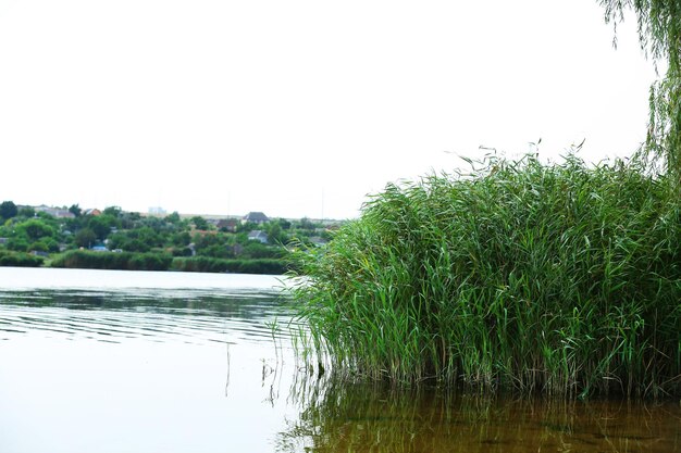 Beautiful countryside with river and village