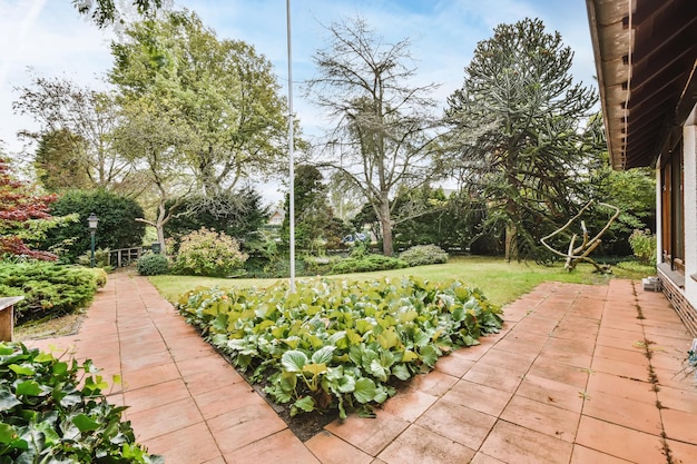 Bellissimo cortile con giardino