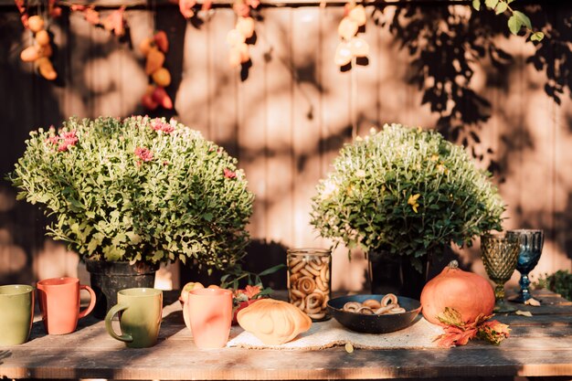 Beautiful cozy courtyard with autumn flowers vegetables and pumpkins