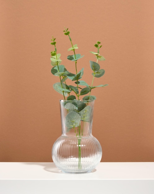 A beautiful creative glass vase with a green plant branch on a white table and brown background