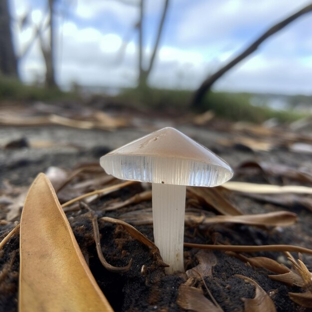 Photo a beautiful crystal mushroom