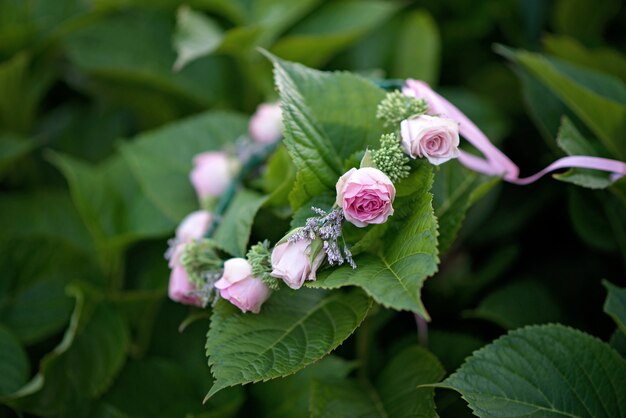 大きな緑の葉に新鮮なバラの花の美しいかわいい花輪。ソフト選択的フォーカス。