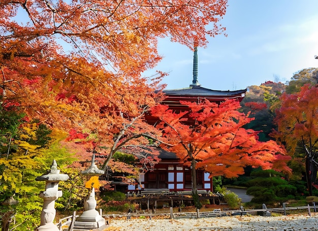 Beautiful daigoji temple with colorful tree and leaf in autumn season