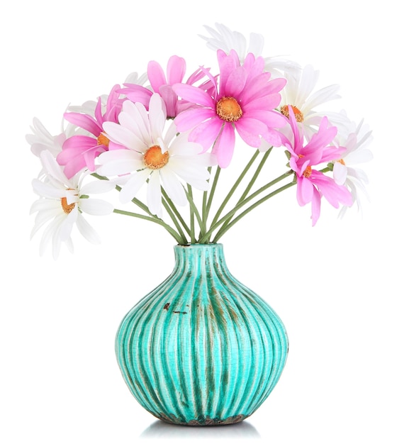 Beautiful daisies in colorful vase on white