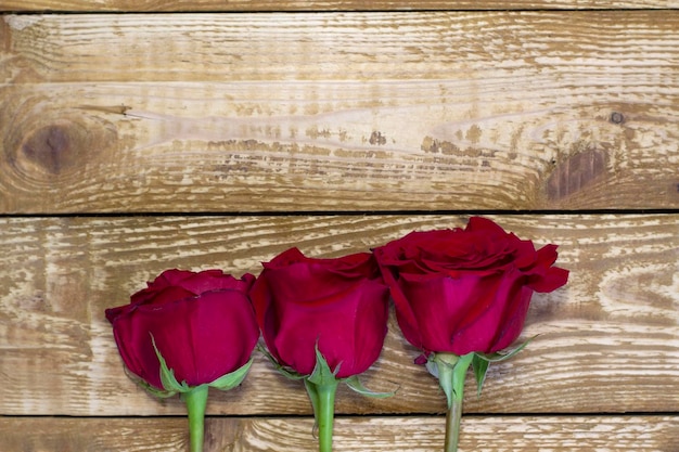 Beautiful dark red three roses on grey rough linen textured background close up with copy space