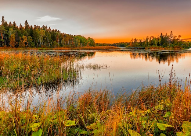 beautiful dawn over northern forest lake