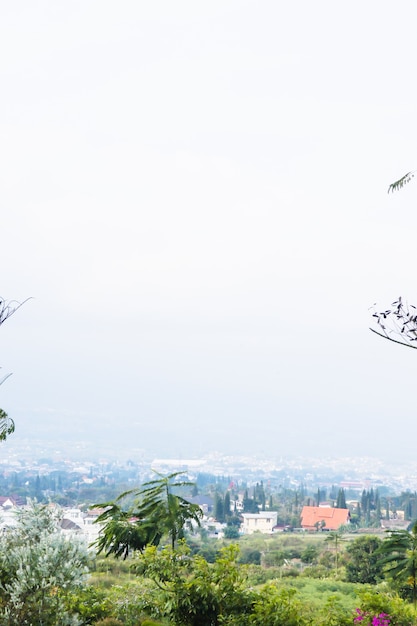 A beautiful day with city and trees