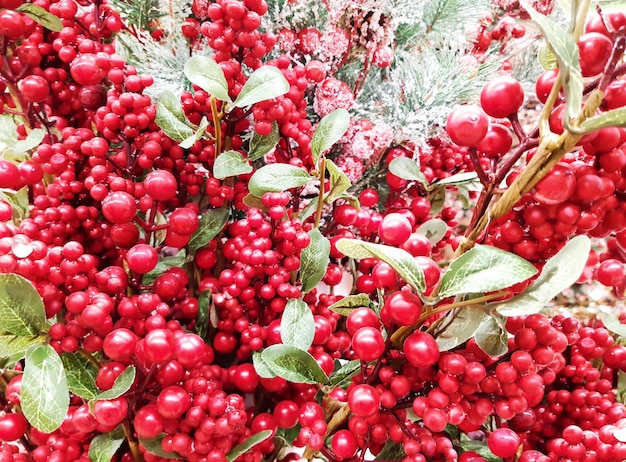 Beautiful decorative christmas and happy new year composition\
of pine branch, pine cones and red viburnum berries in the snow.\
shining celebration background